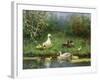 Ducks on a Riverbank-David Adolph Constant Artz-Framed Giclee Print