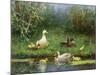 Ducks on a Riverbank-David Adolph Constant Artz-Mounted Giclee Print