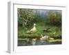 Ducks on a Riverbank-David Adolph Constant Artz-Framed Giclee Print