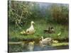 Ducks on a Riverbank-David Adolph Constant Artz-Stretched Canvas