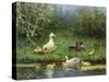 Ducks on a Riverbank-David Adolph Constant Artz-Stretched Canvas