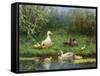 Ducks on a Riverbank-David Adolph Constant Artz-Framed Stretched Canvas