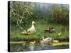 Ducks on a Riverbank-David Adolph Constant Artz-Stretched Canvas