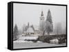 Ducks on Frozen Lake, Lake Bohinj, Slovenia-Christian Kober-Framed Stretched Canvas