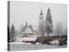 Ducks on Frozen Lake, Lake Bohinj, Slovenia-Christian Kober-Stretched Canvas