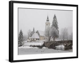 Ducks on Frozen Lake, Lake Bohinj, Slovenia-Christian Kober-Framed Photographic Print