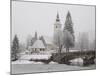 Ducks on Frozen Lake, Lake Bohinj, Slovenia-Christian Kober-Mounted Photographic Print