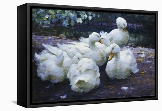 Ducks on the Bank of a River-Alexander Max Koester-Framed Stretched Canvas