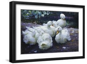 Ducks on the Bank of a River-Alexander Max Koester-Framed Giclee Print