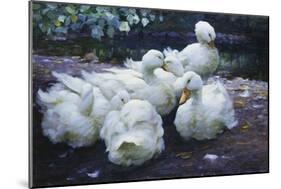 Ducks on the Bank of a River-Alexander Max Koester-Mounted Giclee Print
