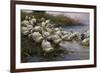 Ducks on the Lakeshore-Alexander Koester-Framed Giclee Print