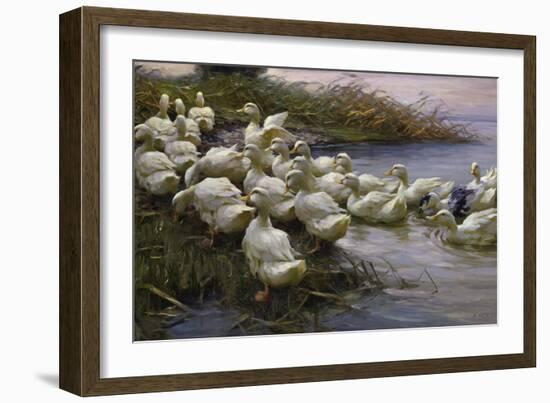 Ducks on the Lakeshore-Alexander Koester-Framed Giclee Print