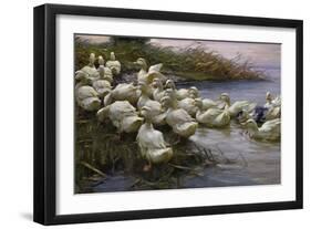 Ducks on the Lakeshore-Alexander Koester-Framed Giclee Print