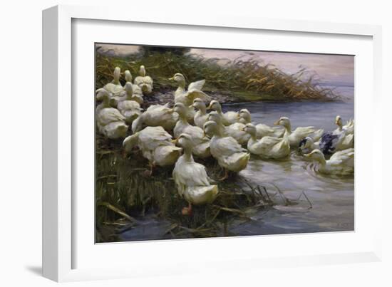 Ducks on the Lakeshore-Alexander Koester-Framed Giclee Print