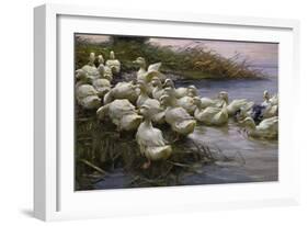 Ducks on the Lakeshore-Alexander Koester-Framed Giclee Print