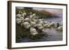 Ducks on the Lakeshore-Alexander Koester-Framed Giclee Print