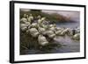 Ducks on the Lakeshore-Alexander Koester-Framed Giclee Print