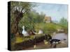 Ducks on the River Bank-Carl Jutz-Stretched Canvas