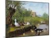 Ducks on the River Bank-Carl Jutz-Mounted Giclee Print