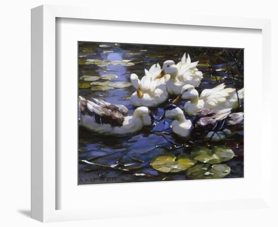 Ducks on the River-Alexander Max Koester-Framed Giclee Print