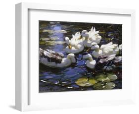 Ducks on the River-Alexander Max Koester-Framed Giclee Print