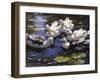 Ducks on the River-Alexander Max Koester-Framed Giclee Print