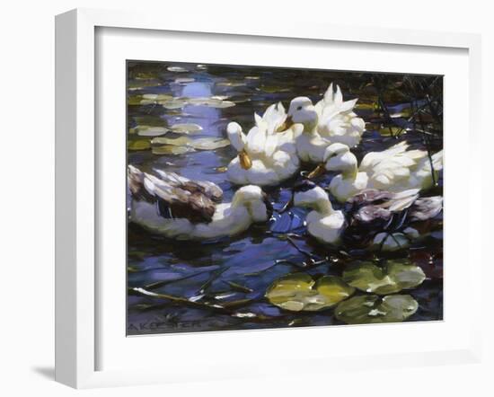 Ducks on the River-Alexander Max Koester-Framed Giclee Print