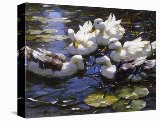 Ducks on the River-Alexander Max Koester-Stretched Canvas