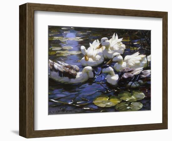 Ducks on the River-Alexander Max Koester-Framed Premium Giclee Print