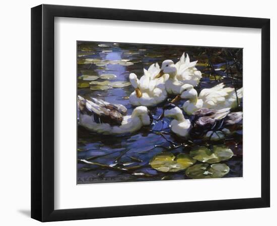 Ducks on the River-Alexander Max Koester-Framed Premium Giclee Print