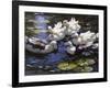 Ducks on the River-Alexander Max Koester-Framed Giclee Print