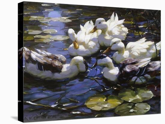 Ducks on the River-Alexander Max Koester-Stretched Canvas