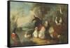 Ducks, Poultry and Doves by a Wall on a River Bank-Marmaduke Cradock-Framed Stretched Canvas