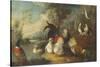 Ducks, Poultry and Doves by a Wall on a River Bank-Marmaduke Cradock-Stretched Canvas