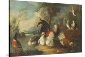 Ducks, Poultry and Doves by a Wall on a River Bank-Marmaduke Cradock-Stretched Canvas