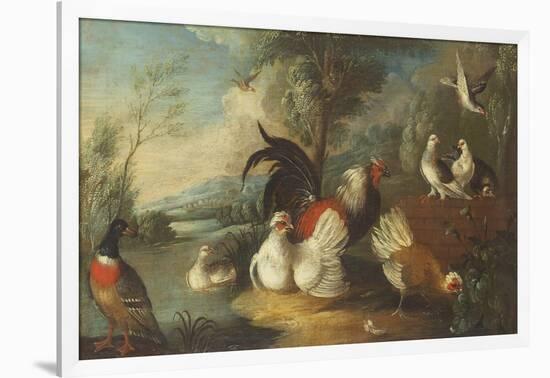 Ducks, Poultry and Doves by a Wall on a River Bank-Marmaduke Cradock-Framed Giclee Print