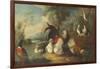 Ducks, Poultry and Doves by a Wall on a River Bank-Marmaduke Cradock-Framed Giclee Print