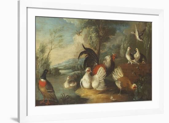 Ducks, Poultry and Doves by a Wall on a River Bank-Marmaduke Cradock-Framed Premium Giclee Print