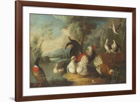 Ducks, Poultry and Doves by a Wall on a River Bank-Marmaduke Cradock-Framed Premium Giclee Print