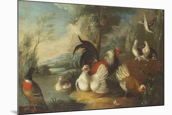 Ducks, Poultry and Doves by a Wall on a River Bank-Marmaduke Cradock-Mounted Premium Giclee Print