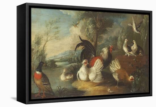 Ducks, Poultry and Doves by a Wall on a River Bank-Marmaduke Cradock-Framed Stretched Canvas