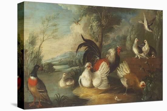 Ducks, Poultry and Doves by a Wall on a River Bank-Marmaduke Cradock-Stretched Canvas