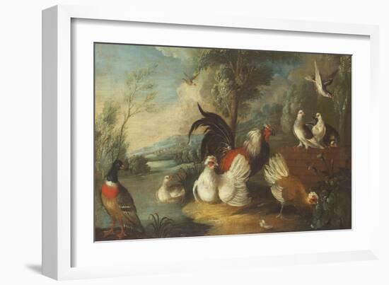 Ducks, Poultry and Doves by a Wall on a River Bank-Marmaduke Cradock-Framed Giclee Print