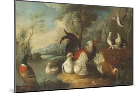 Ducks, Poultry and Doves by a Wall on a River Bank-Marmaduke Cradock-Mounted Giclee Print