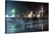 Ducks Silhouetted At Night On Heroes Square, Budapest, July 2009-Milan Radisics-Stretched Canvas