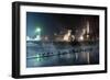 Ducks Silhouetted At Night On Heroes Square, Budapest, July 2009-Milan Radisics-Framed Photographic Print