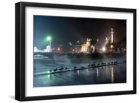 Ducks Silhouetted At Night On Heroes Square, Budapest, July 2009-Milan Radisics-Framed Photographic Print