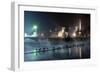 Ducks Silhouetted At Night On Heroes Square, Budapest, July 2009-Milan Radisics-Framed Photographic Print