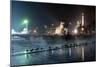 Ducks Silhouetted At Night On Heroes Square, Budapest, July 2009-Milan Radisics-Mounted Photographic Print