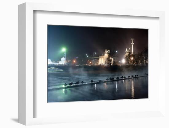 Ducks Silhouetted At Night On Heroes Square, Budapest, July 2009-Milan Radisics-Framed Photographic Print